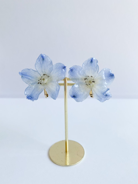 デルフィニウム　イヤリング✳︎生花のアクセサリー 3枚目の画像