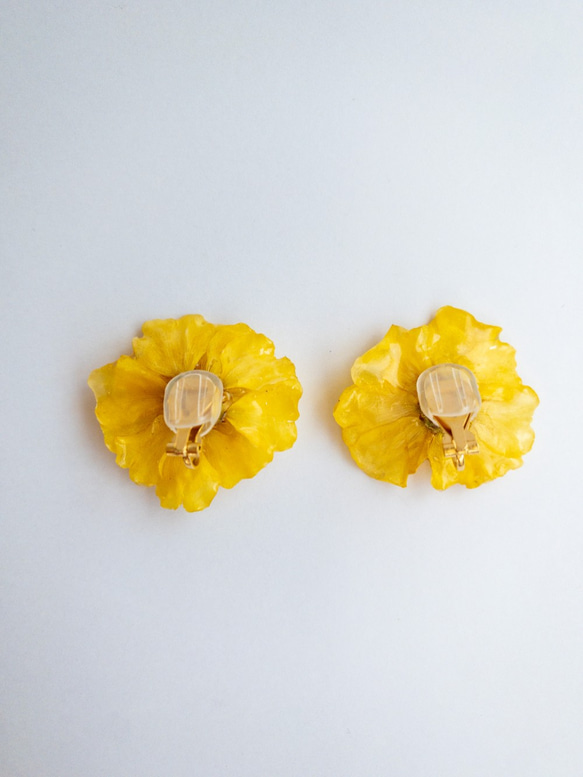 イエローマリーゴールド　クリップイヤリング　✳︎生花のアクセサリー 2枚目の画像
