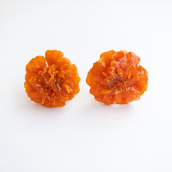 オレンジマリーゴールド　クリップイヤリング✳︎生花のアクセサリー 1枚目の画像