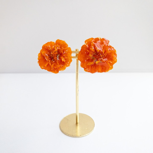 オレンジマリーゴールド　クリップイヤリング✳︎生花のアクセサリー 3枚目の画像