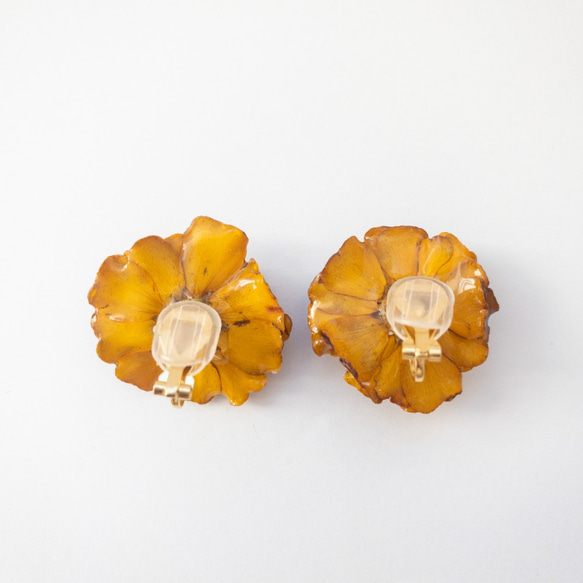 マリーゴールド　ブラウン　クリップ✳︎生花のアクセサリー 2枚目の画像