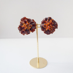 マリーゴールド　ブラウン　クリップ✳︎生花のアクセサリー 3枚目の画像