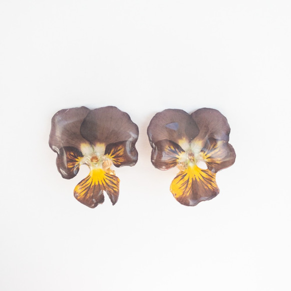 ビオラ　ココアブラウン　クリップイヤリング✳︎生花のアクセサリー 1枚目の画像