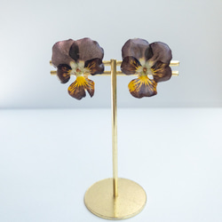 ビオラ　ココアブラウン　クリップイヤリング✳︎生花のアクセサリー 3枚目の画像
