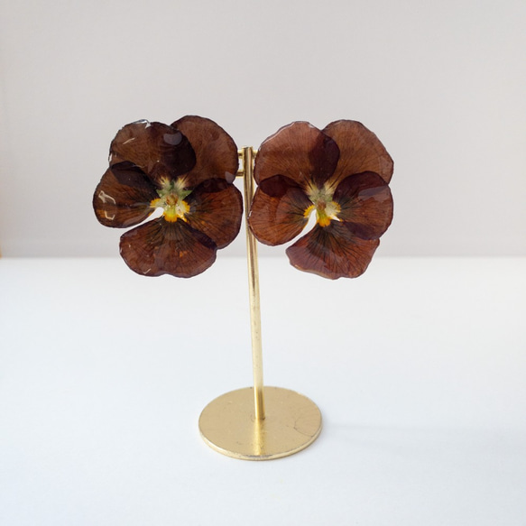 ビオラ　チョコレート　クリップイヤリング✳︎生花のアクセサリー  3枚目の画像