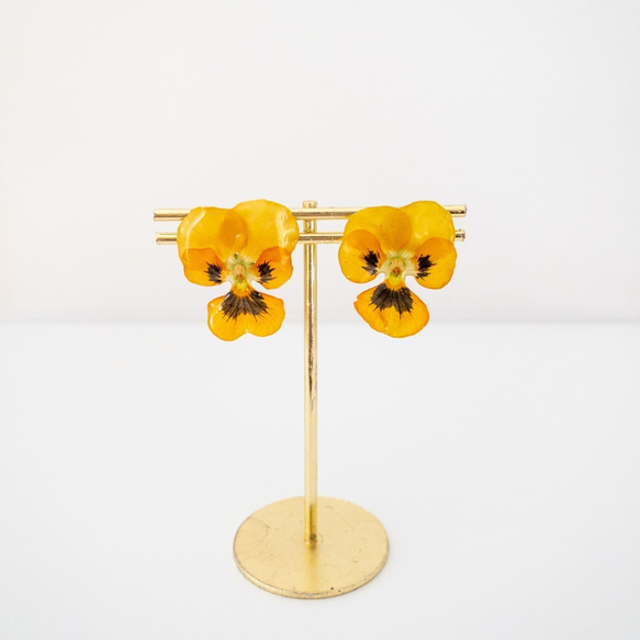 ビオラ　パンプキン　ピアス　✳︎生花のアクセサリー 2枚目の画像