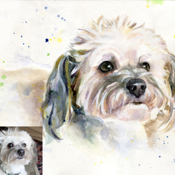 custom pet portrait painting, watercolor painting, gift 1枚目の画像