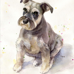 custom pet portrait painting, watercolor painting, gift 2枚目の画像