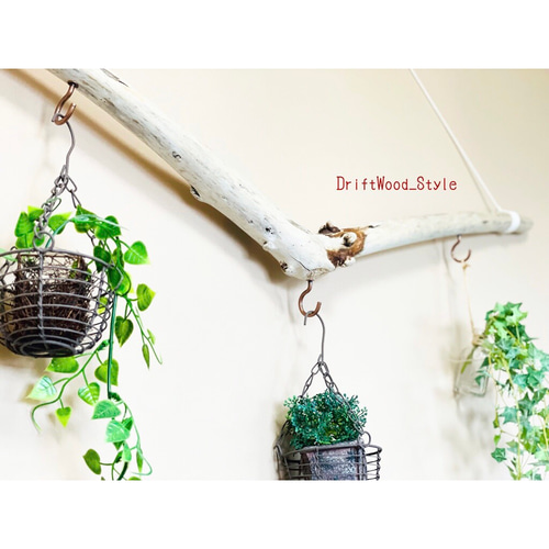 流木インテリア なめらかなV字が美しい天然流木のハンガーフック エア