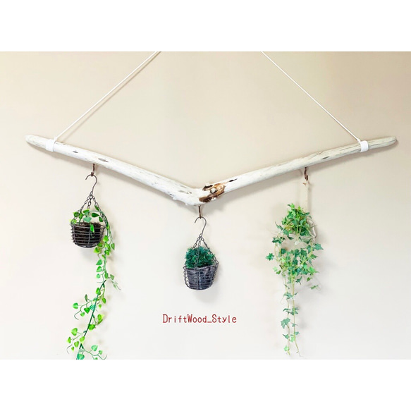 流木☆プランツハンガー 流木インテリア なめらかなV字が美しい天然流木のハンガーフック エア