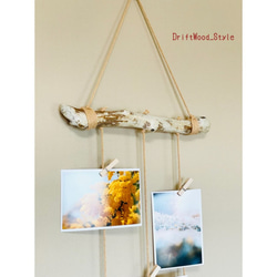 流木インテリア 自由に写真を飾れるフォトディスプレイ 流木を使ったオシャレなウォールアート ウォールデコ No.03 4枚目の画像
