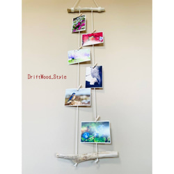 流木インテリア 自由に写真を飾れるフォトディスプレイ 流木を使ったオシャレなウォールアート ウォールデコ No.04 5枚目の画像
