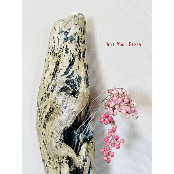流木インテリア 自然の造形が美しい一輪挿し 壁に飾って癒される花瓶 ウォールアート 天然流木 ウォールデコ 花器 4枚目の画像
