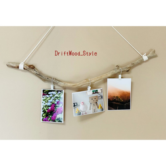 流木インテリア うねりを描く枝の曲線が美しいフォトハンガー 写真 ディスプレイ ウォールデコ 自然 壁掛け 北欧 1枚目の画像