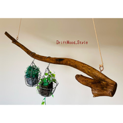 流木インテリア 枝のうねりが印象的なハンガーラック 流木ハンガー 癒し 衣装掛け ハンギング 北欧 ハンガーポール 3枚目の画像