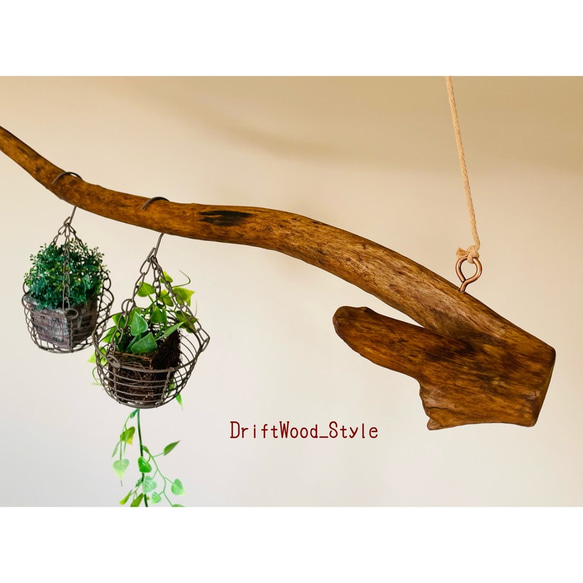 流木インテリア 枝のうねりが印象的なハンガーラック 流木ハンガー 癒し 衣装掛け ハンギング 北欧 ハンガーポール 6枚目の画像