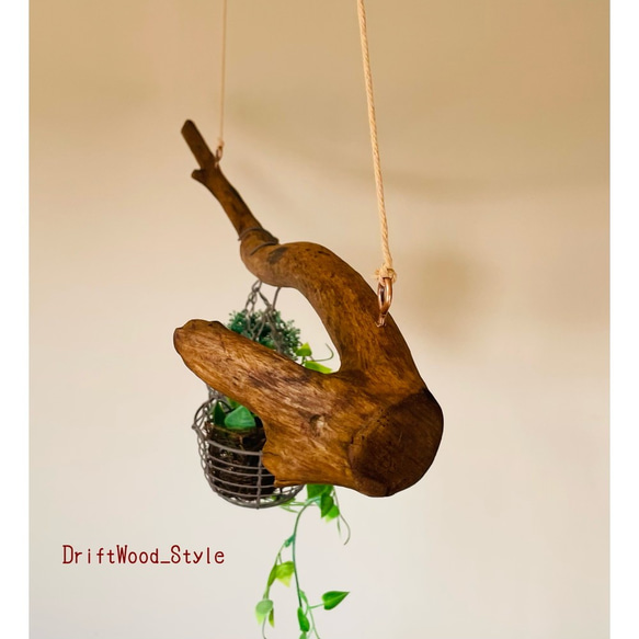 流木インテリア 枝のうねりが印象的なハンガーラック 流木ハンガー 癒し 衣装掛け ハンギング 北欧 ハンガーポール 7枚目の画像