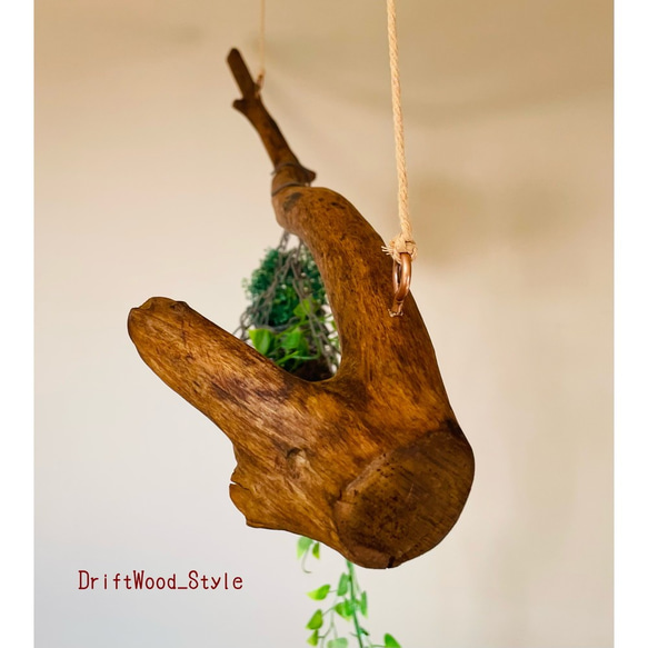 流木インテリア 枝のうねりが印象的なハンガーラック 流木ハンガー 癒し 衣装掛け ハンギング 北欧 ハンガーポール 8枚目の画像