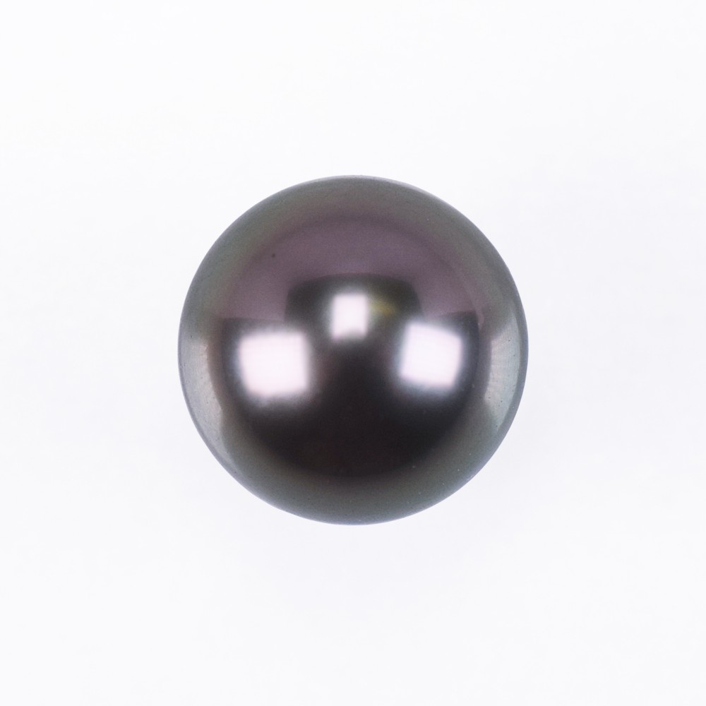 パール  黒蝶  10-11mm  (395084)