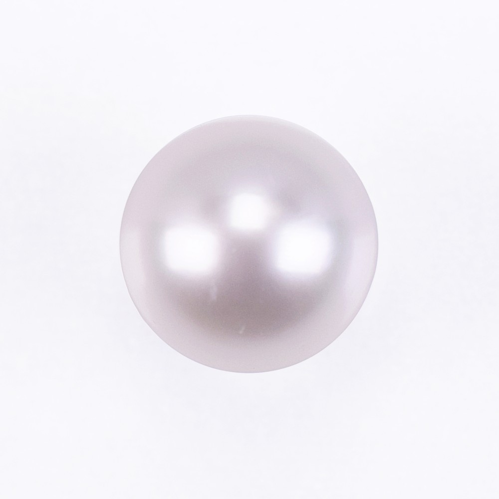 パール  白蝶  11-12mm  (395088)