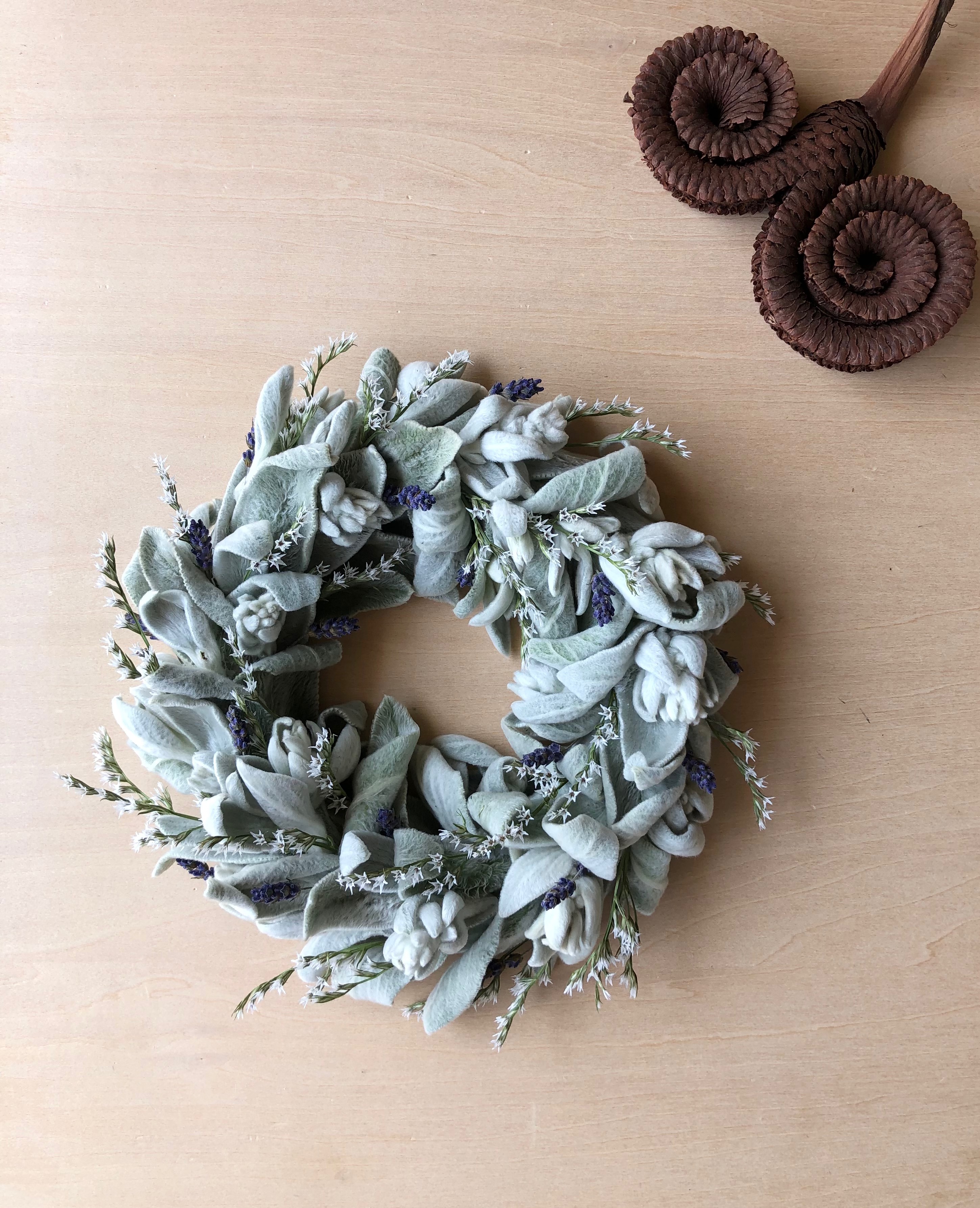 ラムズイヤー　ヘッド　ドライフラワー ラムズイヤー ドライフラワー ハーブのリース ドライフラワー atelier