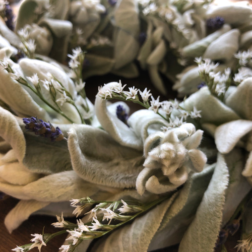 ラムズイヤー ドライフラワー ハーブのリース ドライフラワー