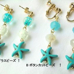 海色ヒトデのイヤリング（ear clips） 2枚目の画像