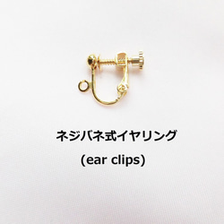 海星海星耳環（耳夾） 第6張的照片