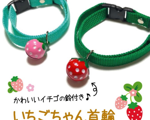 春いちご(ネイビー)わんちゃん猫ちゃん用襟付き首輪