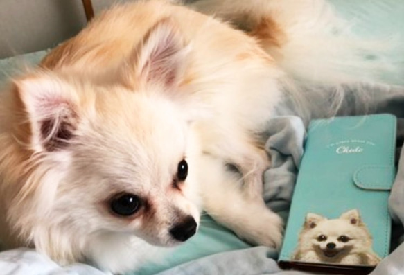手帳型 犬 猫 ペット うちの子 スマホケース iPhone Android 9枚目の画像