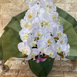 光触媒　人工観葉植物　ウォールグリーン　フェイクグリーン　造花　インテリア　胡蝶蘭6133 1枚目の画像
