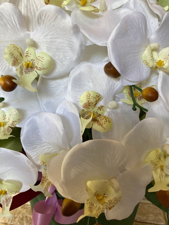光触媒　人工観葉植物　ウォールグリーン　フェイクグリーン　造花　インテリア　胡蝶蘭6133 3枚目の画像