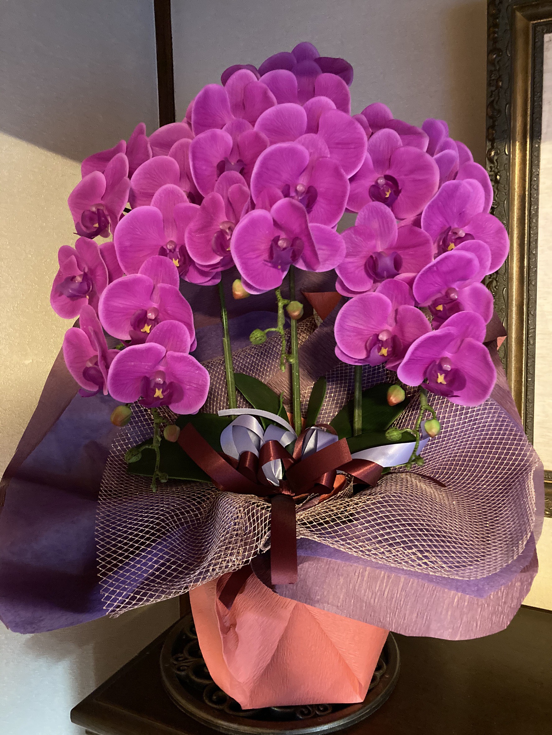 光触媒　人工観葉植物　ウォールグリーン　造花　インテリア　リアル胡蝶蘭74