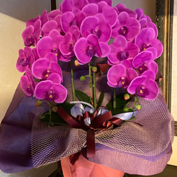 光触媒 人工観葉植物 ウォールグリーン フェイク フラワー リアル胡蝶