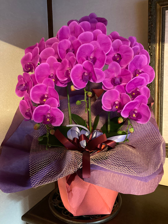 光触媒　人工観葉植物　ウォールグリーン　フェイクグリーン　リアル胡蝶蘭74 光触媒 人工観葉植物 ウォールグリーン フェイクグリーン 胡蝶蘭10本w