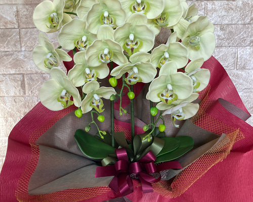 光触媒　人工観葉植物　ウォールグリーン　造花　インテリア 光触媒 人工観葉植物 ウォールグリーン 造花 インテリア リアル胡蝶蘭