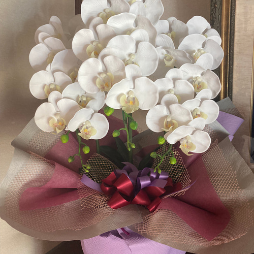 光触媒 人工観葉植物 ウォールグリーン フェイクグリーン リアル胡蝶蘭