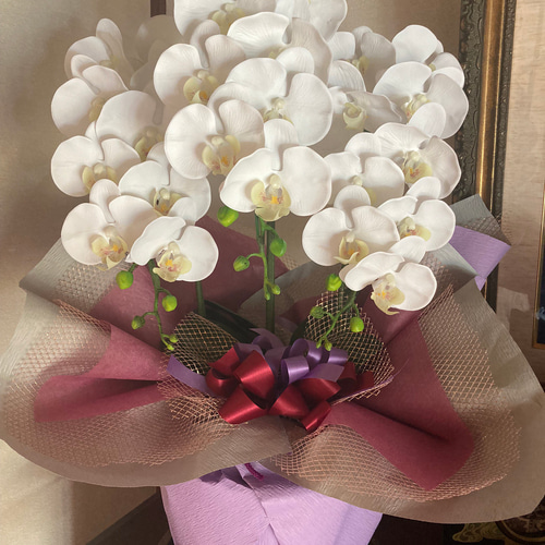 光触媒 人工観葉植物 ウォールグリーン フェイクグリーン リアル胡蝶蘭