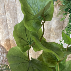光触媒　人工観葉植物　ウォールグリーン  造花　インテリア　シーグレープ6340 4枚目の画像
