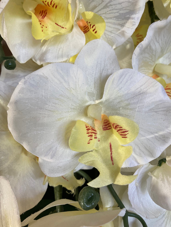 光触媒　人工観葉植物　ウォールグリーン　フェイクグリーン　造花　アレンジ　胡蝶蘭8558 4枚目の画像