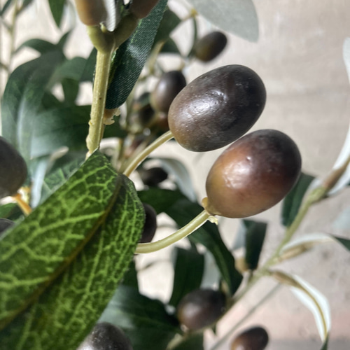 光触媒　人工観葉植物　ウォールグリーン　造花　アレンジ　オリーブ100 光触媒 人工観葉植物 ウォールグリーン 造花 アレンジ オリーブ