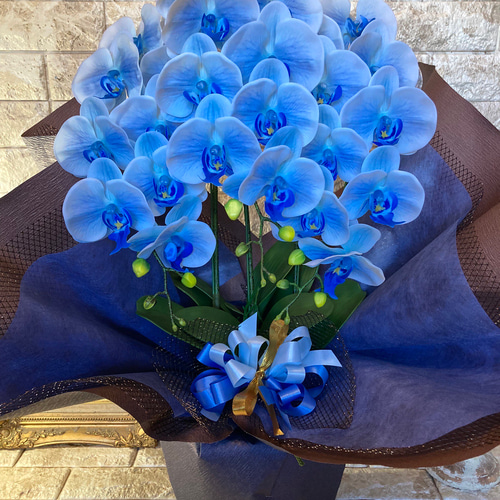 光触媒 人工観葉植物 フェイクグリーン エミリオロバ