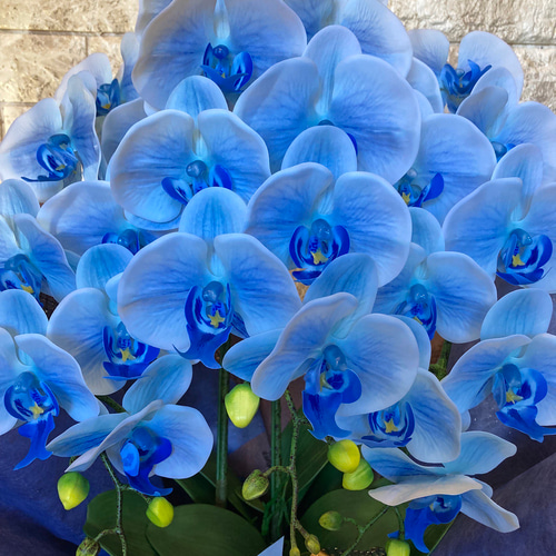 光触媒 人工観葉植物 ウォールグリーン フェイク 小売業者 アレンジ