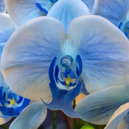 光触媒 人工観葉植物 ウォールグリーン フェイク アレンジ リアル胡蝶