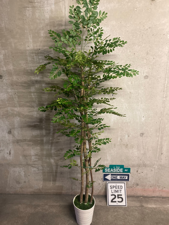 光触媒 人工観葉植物 ウォールグリーン フェイクグリーン トネリコ180