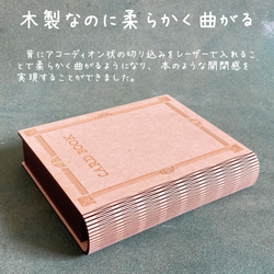 CARD BOOK for a lot 3枚目の画像