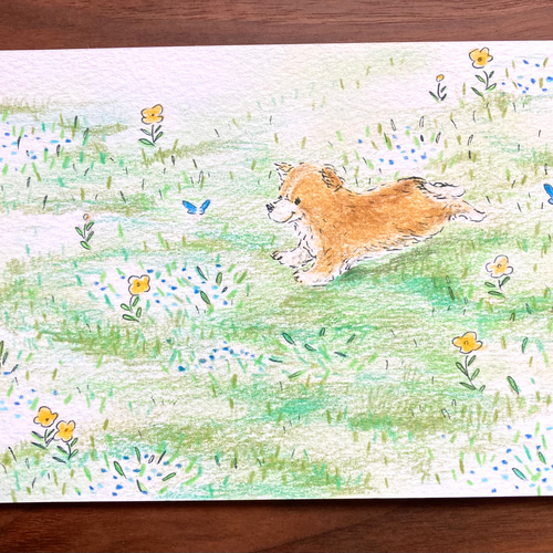 原っぱの犬】原画 ハガキ 額入り 絵画 フクシママリコ 通販 12582300