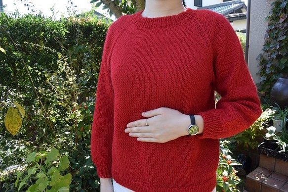お試し応援セールアルパカの赤セーター 1枚目の画像