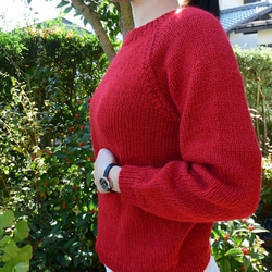お試し応援セールアルパカの赤セーター 2枚目の画像