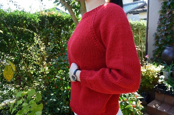 お試し応援セールアルパカの赤セーター 2枚目の画像
